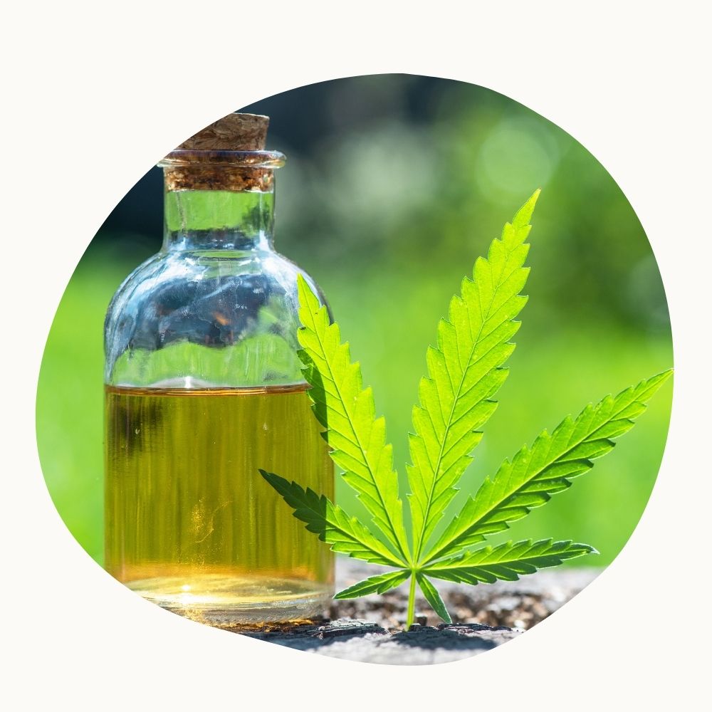huile et feuille de cannabis CBD pour animaux