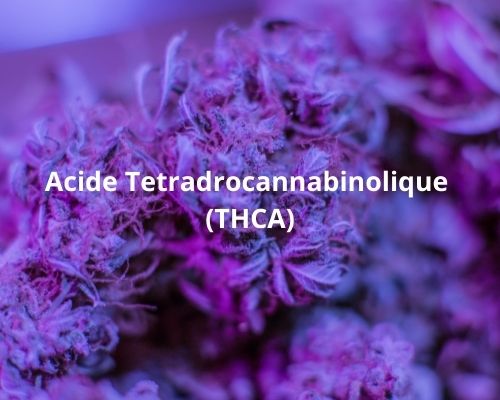 Acide Tetradrocannabinolique (THCA) tegridy-cbd.com