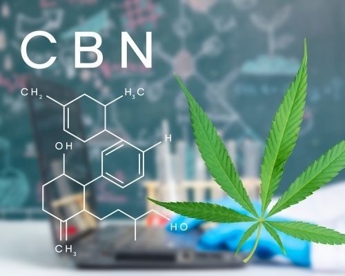 Cannabinol (CBN) tegridy-cbd.com