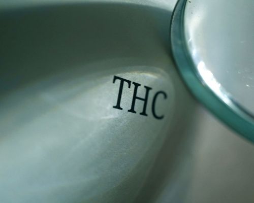 Tétrahydrocannabinol (THC) tegridy-cbd.com